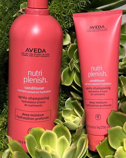 Nutriplenish 長效營養補濕護髮素 - 滋潤配方